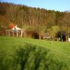 IMG 9277