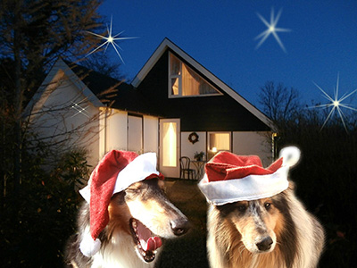 tl_files/Layout/guestbook/img-weihnachten.jpg